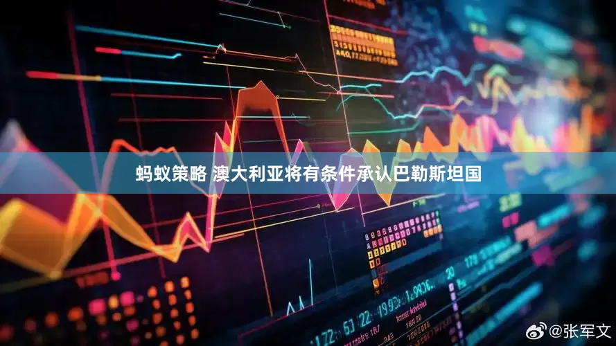 蚂蚁策略 澳大利亚将有条件承认巴勒斯坦国